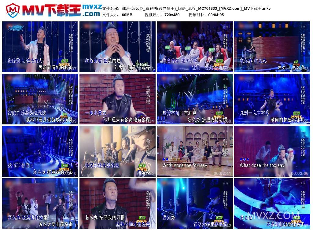 郭涛-怎么办_狐狸叫(跨界歌王)_国语_流行_MC701833